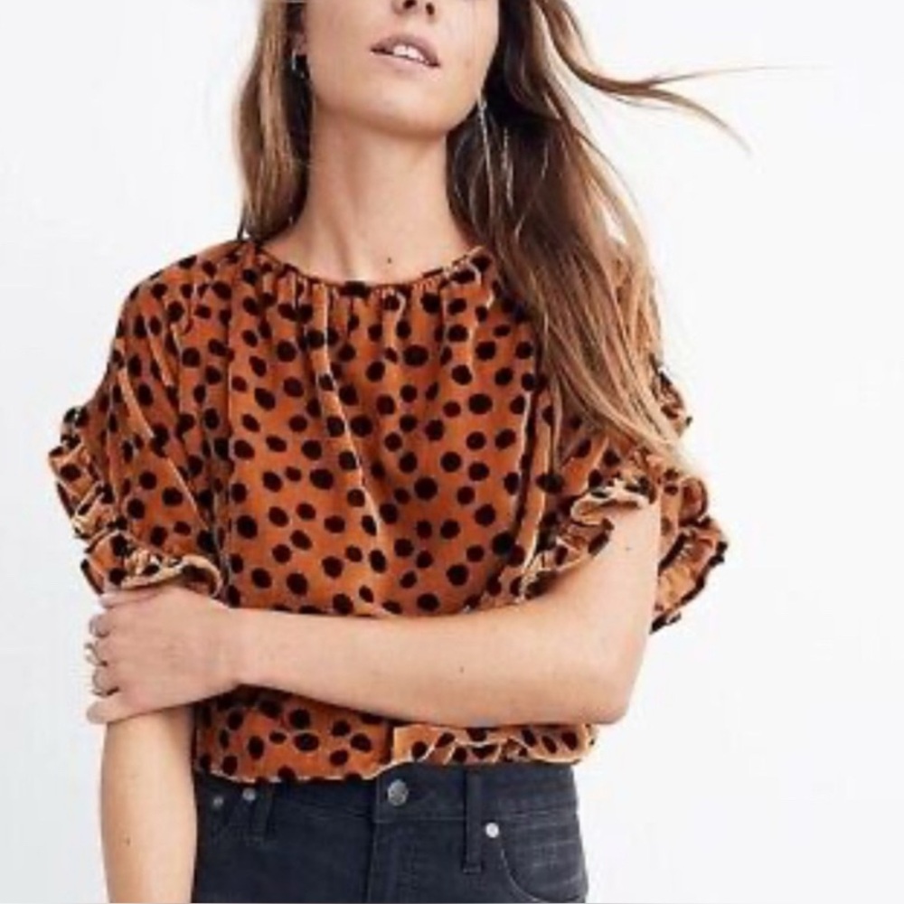 Madewell Velvet Leopard Top